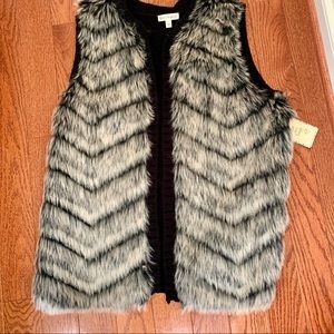 Chic Fur Vest